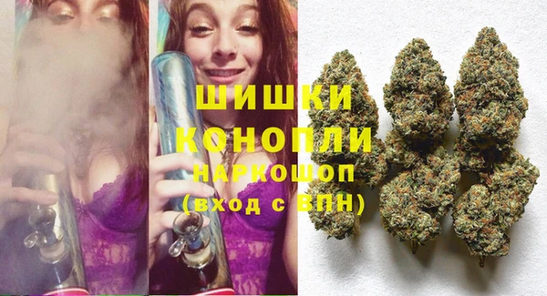 jwh Снежногорск