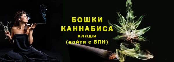 jwh Снежногорск