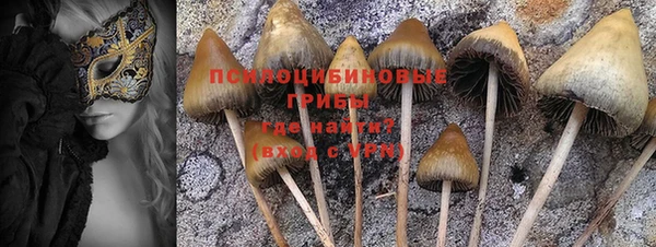 jwh Снежногорск