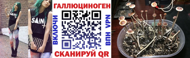 Галлюциногенные грибы Magic Shrooms  блэк спрут ссылки  Старый Крым  купить закладку 